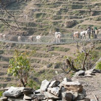 trekking in nepal